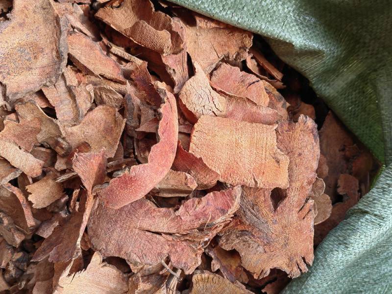 云南野生土茯苓干片干品土茯苓野生药材土茯苓农家硬饭头