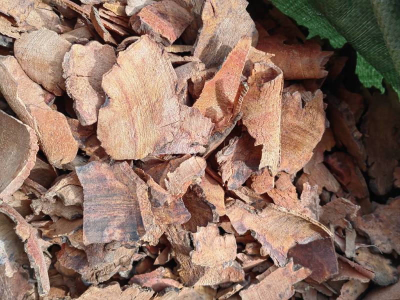 云南野生土茯苓干片干品土茯苓野生药材土茯苓农家硬饭头