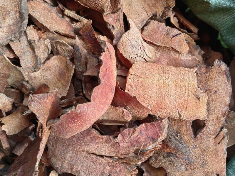 云南野生土茯苓干片干品土茯苓野生药材土茯苓农家硬饭头