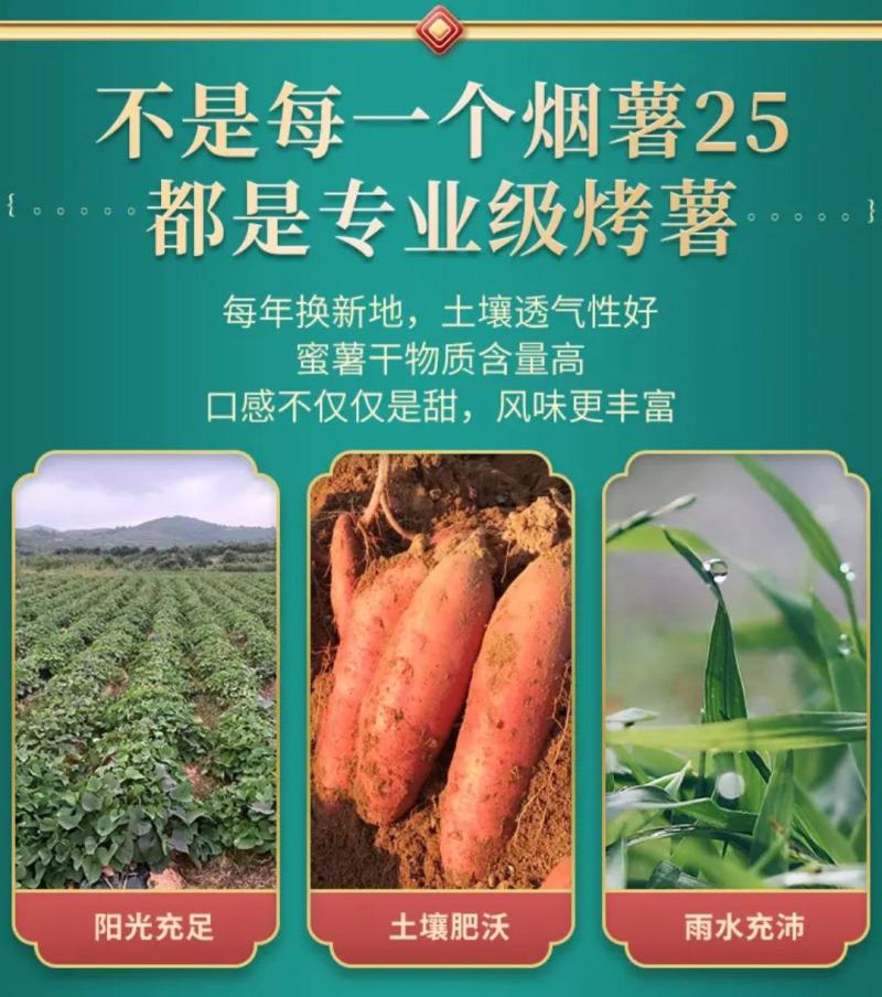 【电商批量代发】山东烟台原产地烟薯25烤蜜薯实力大供应链