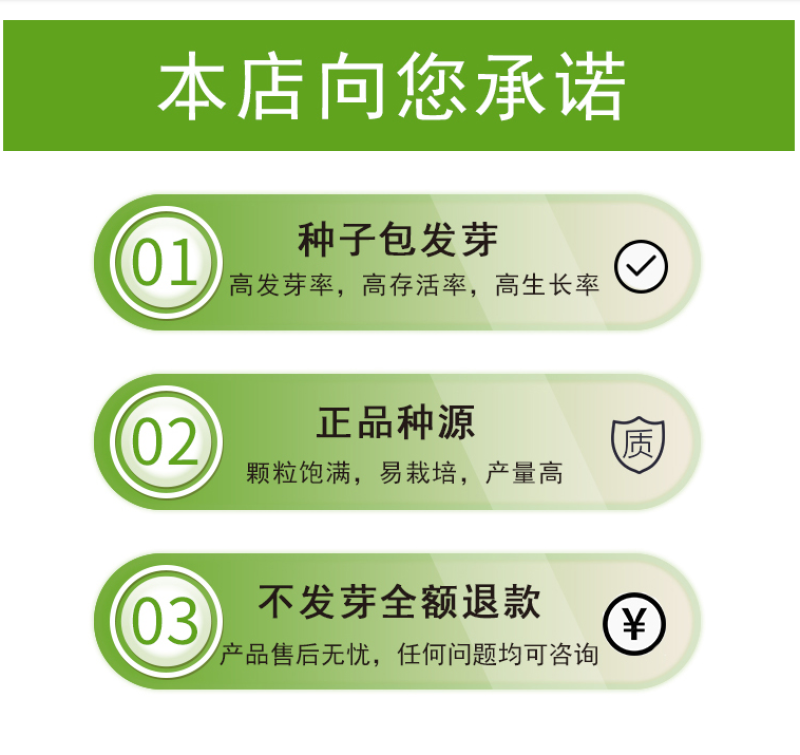 长春花种子天天开花期长多年生花海庭院室内阳台盆栽花卉花草