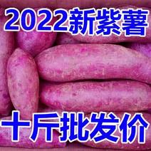 产地销新鲜紫薯批发价紫罗兰沙地紫薯番薯新鲜蔬菜鲜紫薯