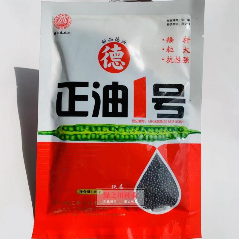 新品德油正油1号油菜种子矮杆粒大抗性强中熟杂交油菜种