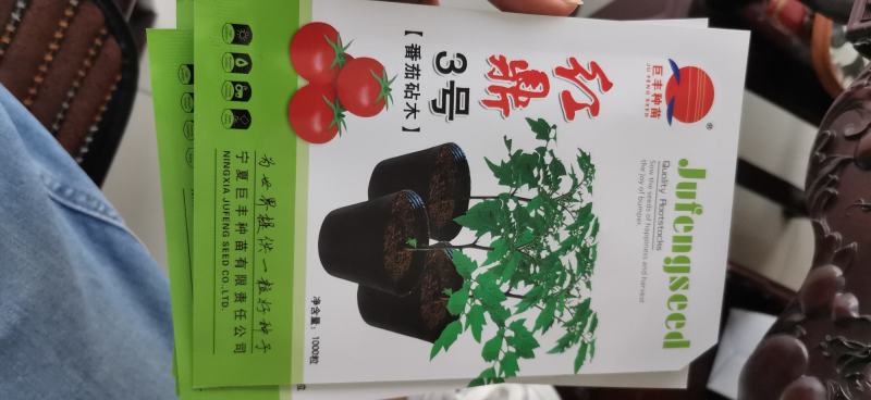 番茄砧木红鼎2号红鼎3号一代杂交