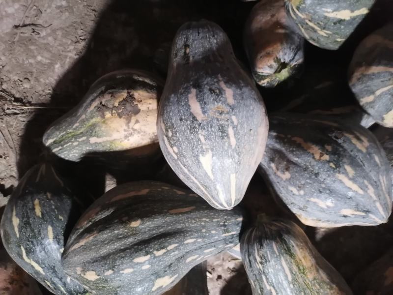 香芋南瓜有货需要的老板欢迎来电，诚信第一，保质保量。