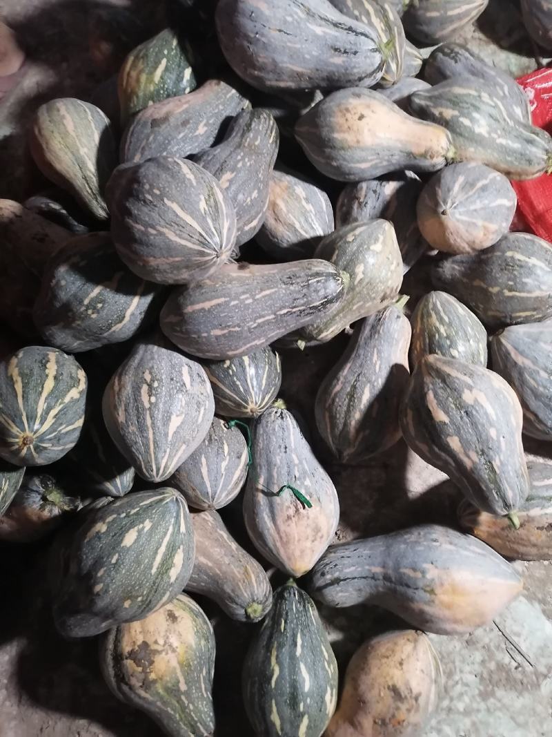 香芋南瓜有货需要的老板欢迎来电，诚信第一，保质保量。