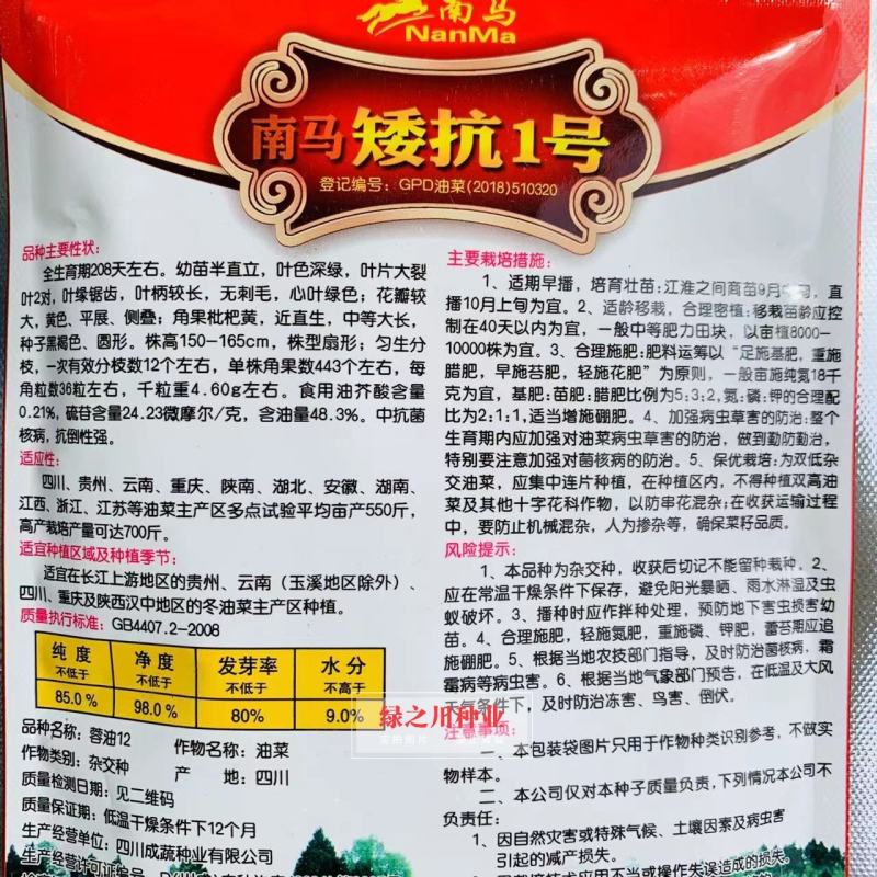 南马矮抗1号油菜种子矮杆油菜种子适宜机收