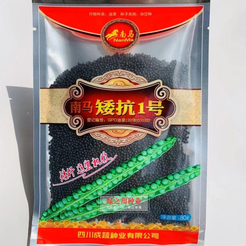 南马矮抗1号油菜种子矮杆油菜种子适宜机收