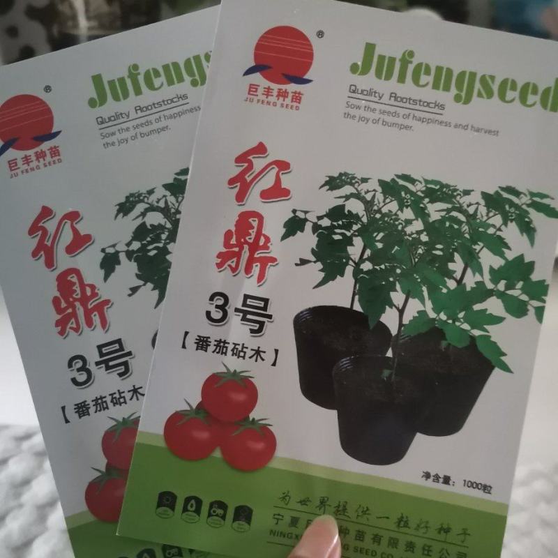番茄砧木红鼎2号红鼎3号一代杂交