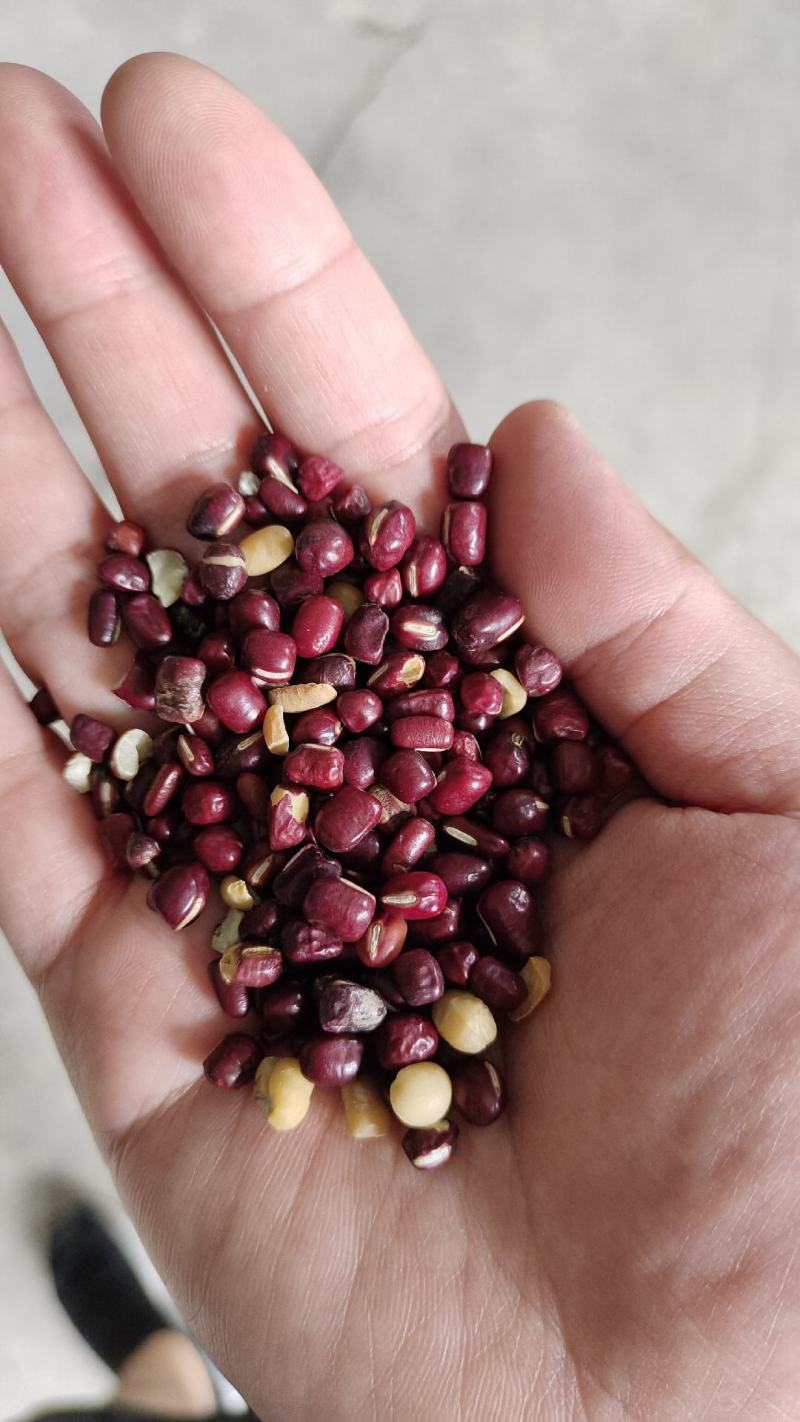 红小豆红豆下料整粒略瑕疵做豆沙做蜜豆原料价格实惠