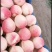 大量北京十四号出售，品质优，色泽鲜艳