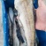 单冻鳕鱼狭鳕鱼明太鱼江苏海鲜水产批发鳕鱼