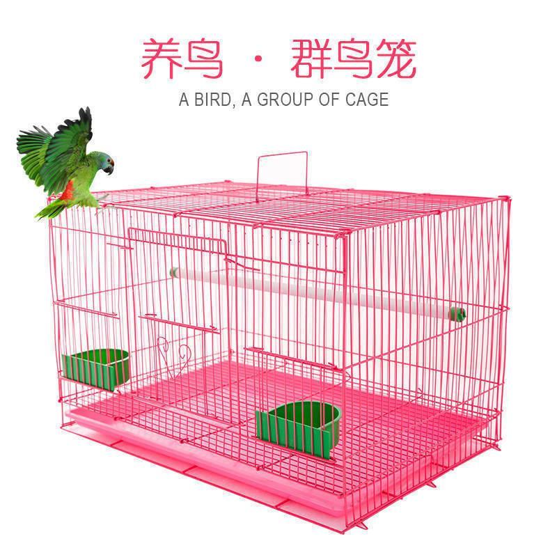 包邮鸟笼鸽子笼虎皮鹦鹉八哥绣眼百灵鸟笼子大号超大繁殖笼