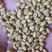湖北精品小麦产地直发保证质量诚信经营