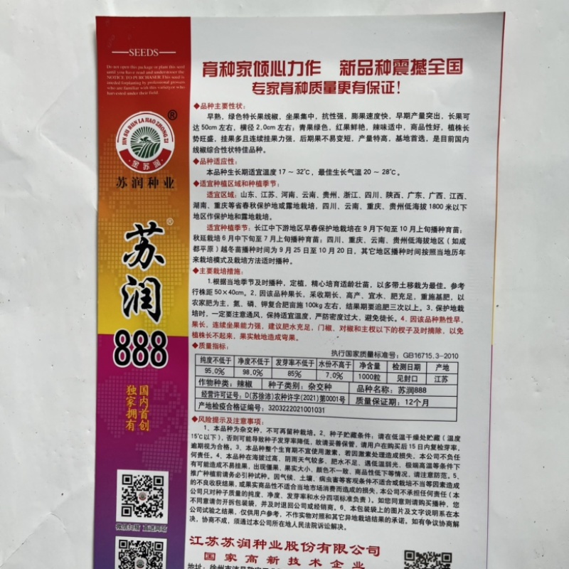 苏润888，998线椒种子青皮软皮线椒品种早熟