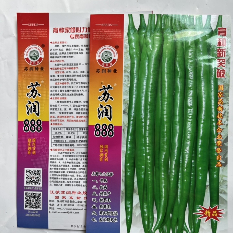 苏润888，998线椒种子青皮软皮线椒品种早熟