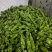 《上新》高山新鲜芜湖椒，大青椒个头大品质好，量大