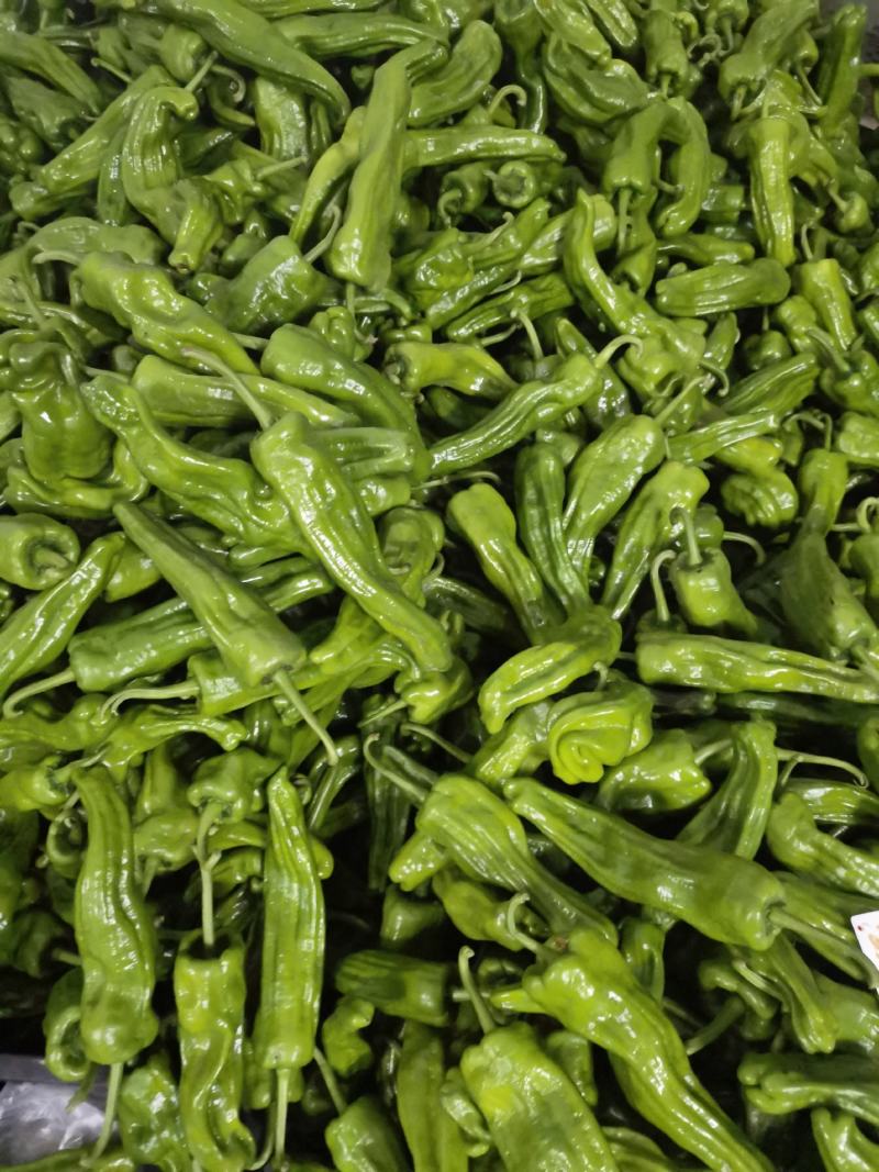 《上新》高山新鲜芜湖椒，大青椒个头大品质好，量大