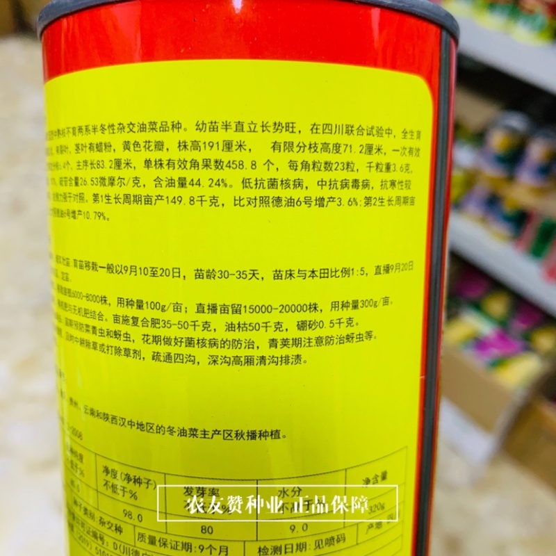 龙盛佳油1号油菜种子胖籽大荚抗倒伏出油率高榨油菜籽种子