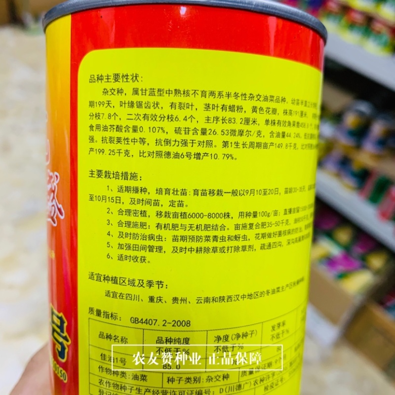 龙盛佳油1号油菜种子胖籽大荚抗倒伏出油率高榨油菜籽种子