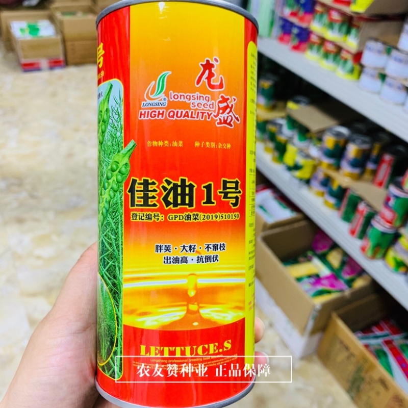 龙盛佳油1号油菜种子胖籽大荚抗倒伏出油率高榨油菜籽种子