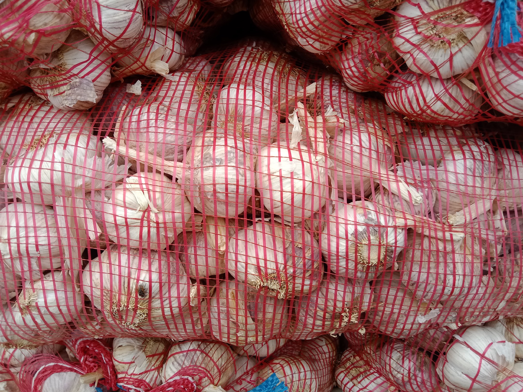 家庭厨房中正在蒸制的茄子配蒜泥酱