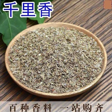 千里香统装500g产地山东振兴药材购销站量大从优
