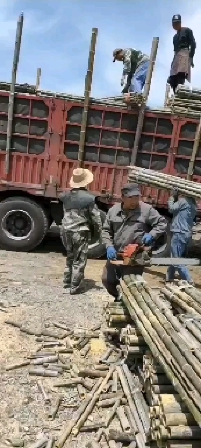 大棚竹竿