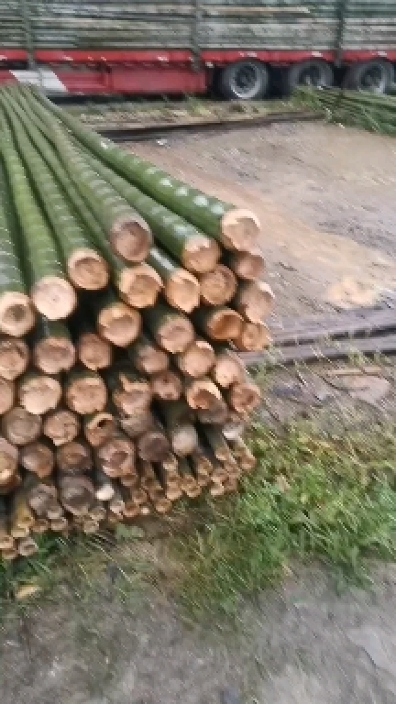 大棚竹竿