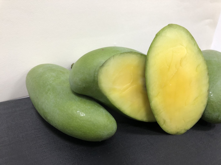 成熟桂七芒特写展示图