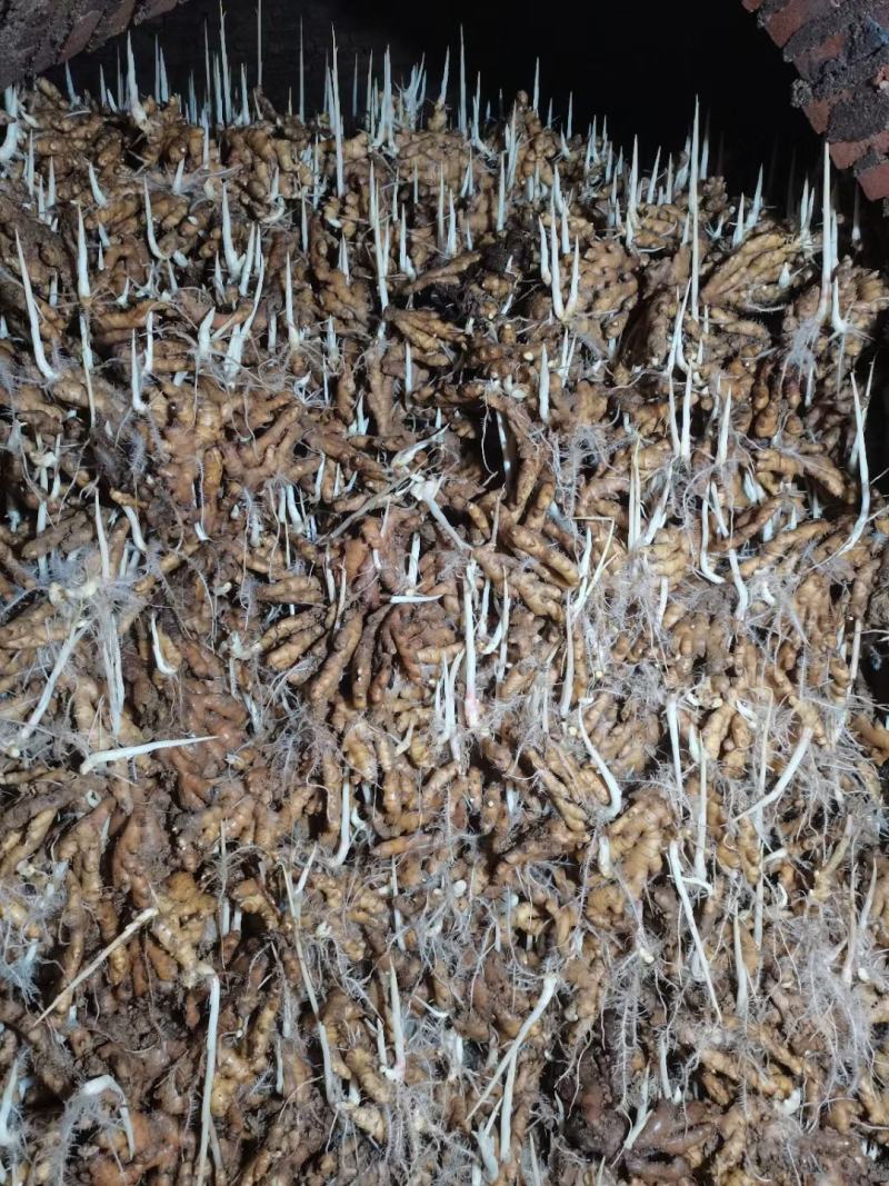 低价急卖，上等好货，稀有货源，看中的老板快来捡漏了!