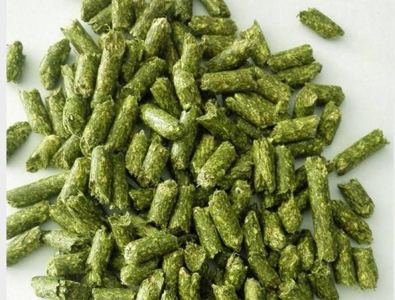 饲草颗粒