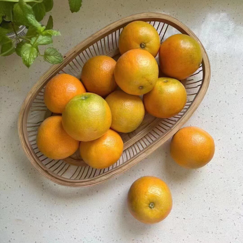湖北橙子