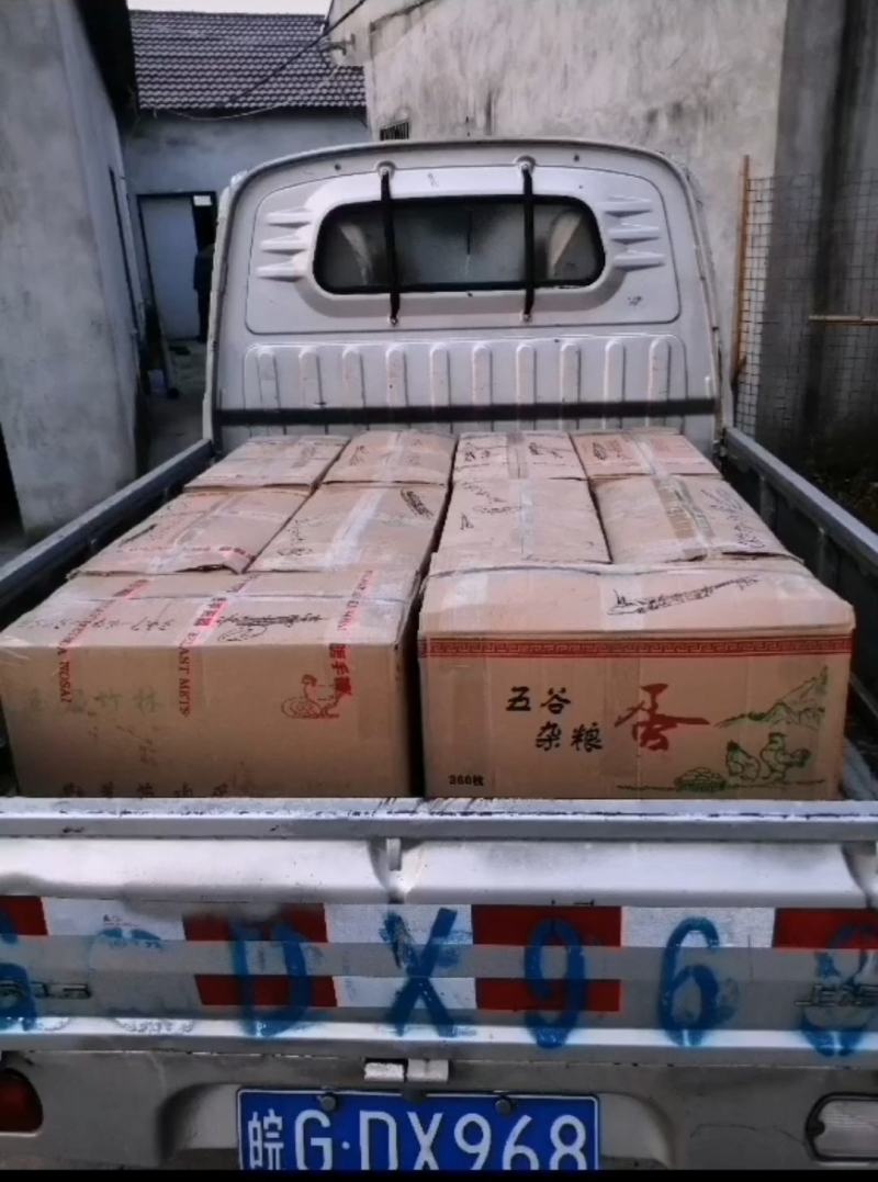 包邮散养土鸡蛋当天新鲜鸡蛋大巴车或物流发货，保质保量，