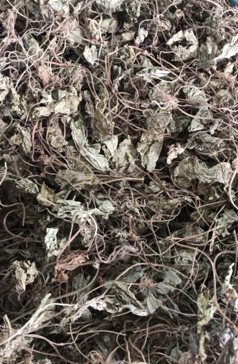 贵州野生青天葵干货，大山中的珍贵药材，支持线上交易