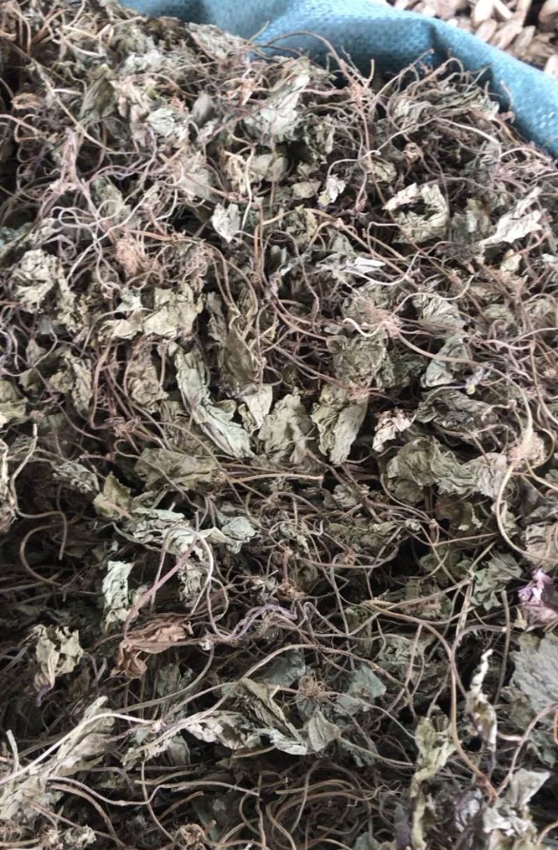 贵州野生青天葵干货，大山中的珍贵药材，支持线上交易