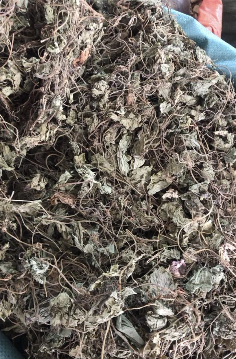 贵州野生青天葵干货，大山中的珍贵药材，支持线上交易