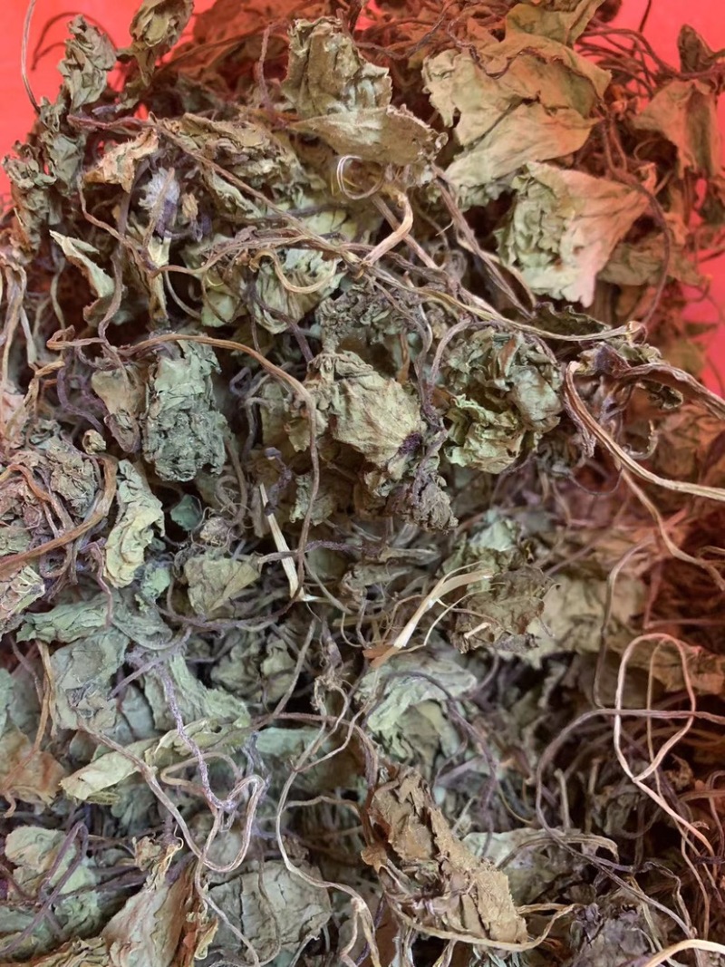 贵州野生青天葵干货，大山中的珍贵药材，支持线上交易