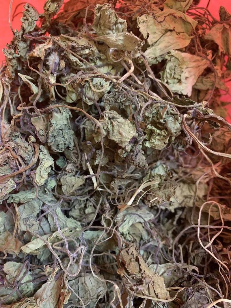 贵州野生青天葵干货，大山中的珍贵药材，支持线上交易