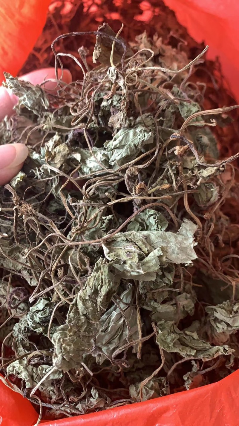贵州野生青天葵干货，大山中的珍贵药材，支持线上交易