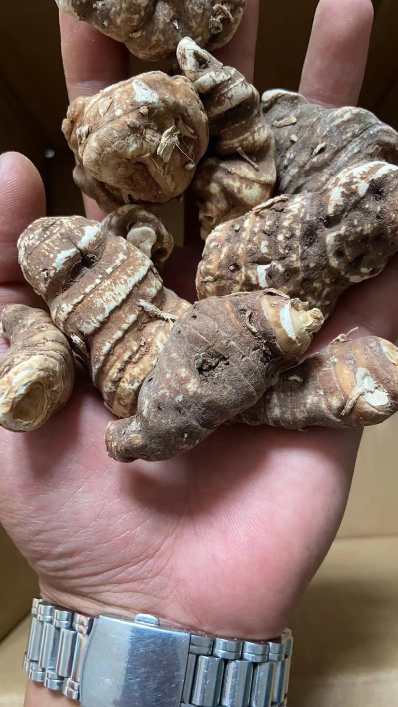 贵州野生重楼，七叶一枝花，别名独脚莲，干货，无流