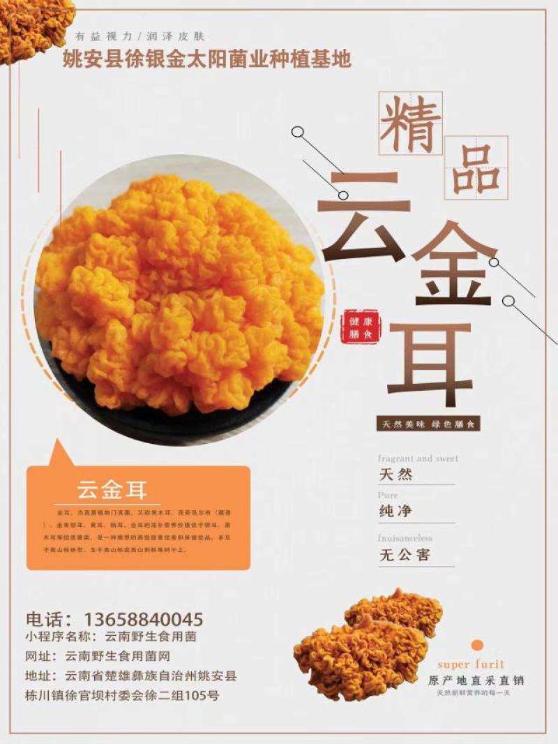 氨基酸金耳多糖，天天新鲜云金耳全国平价批发