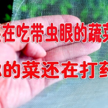 防虫网