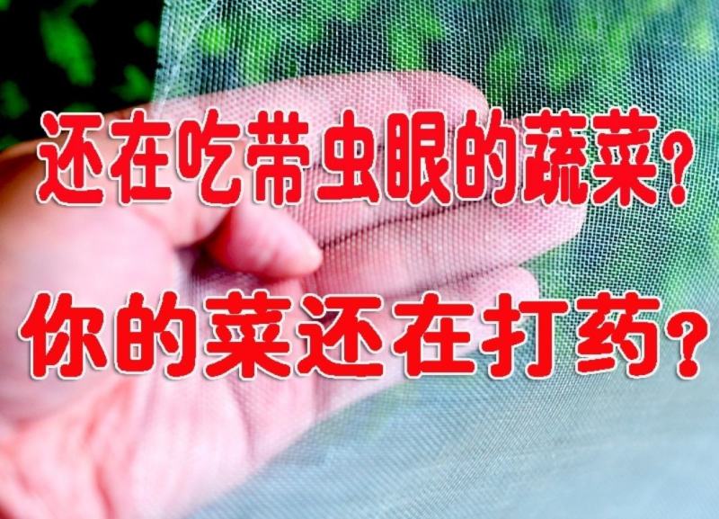 防虫网