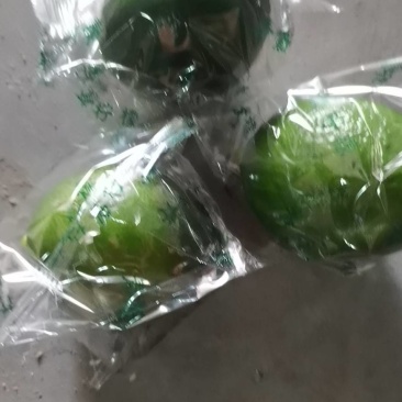 海南香水柠檬