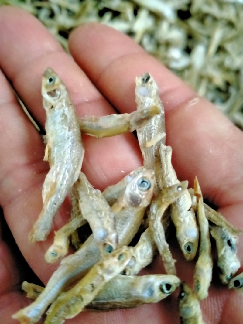 水煮晒干麦穗，小鱼仔，山坑鱼，嫩子鱼，仁子鱼，
