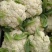 高原夏菜，精品散花，量大质优，价格实惠！