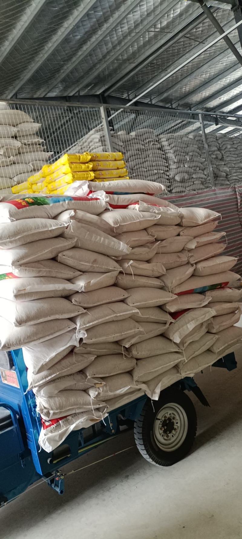中牟油葵仁，保加利亚油葵仁食品厂用油葵仁