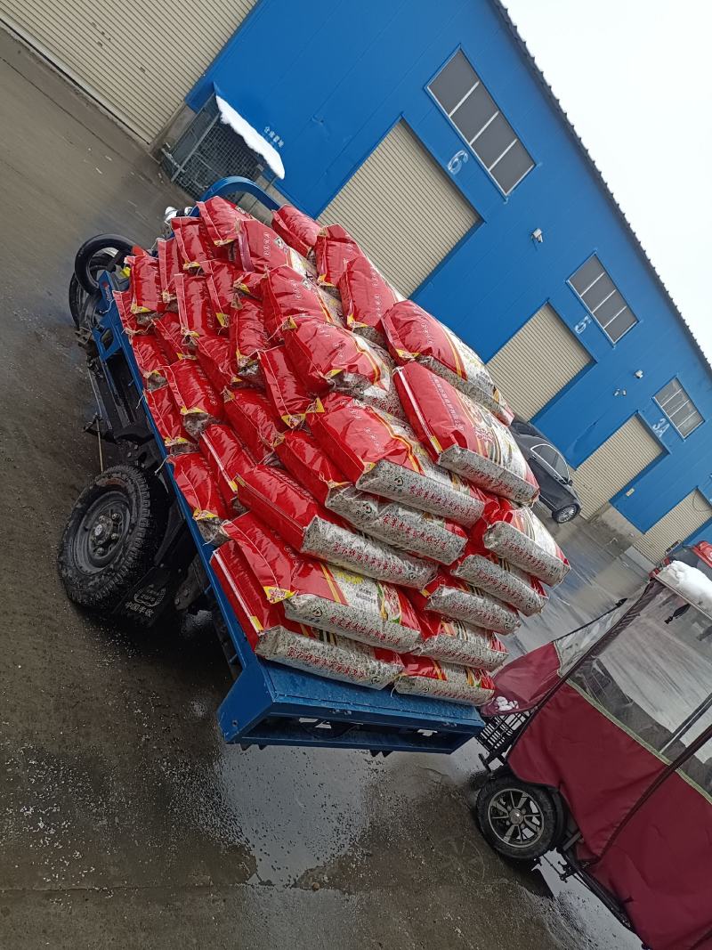 中牟油葵仁，保加利亚油葵仁食品厂用油葵仁