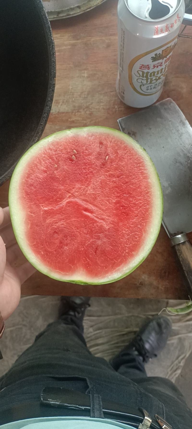 精品帅童物美价廉